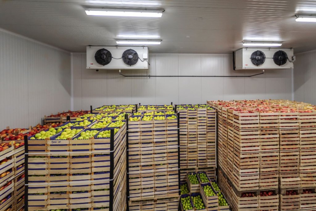 Post-Harvest Storage Solutions: Reduce Food Loss & Boost Farmer Incomes